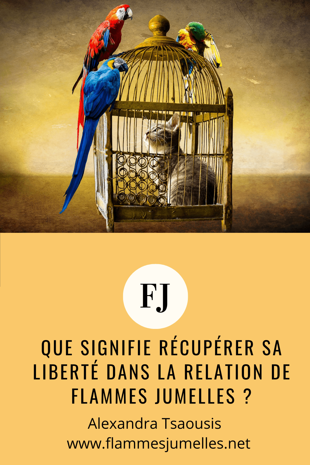 recuperer sa liberté pinterest